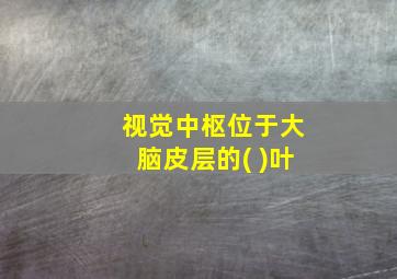 视觉中枢位于大脑皮层的( )叶